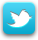 Twitter Page