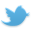Twitter Page