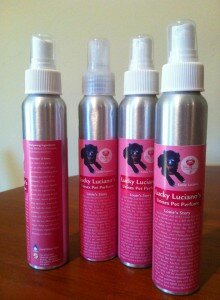 1069984_476189985797867_1179432089_n